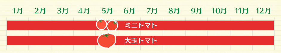 ミニトマト(1月→12月) 大玉トマト(1月→12月)