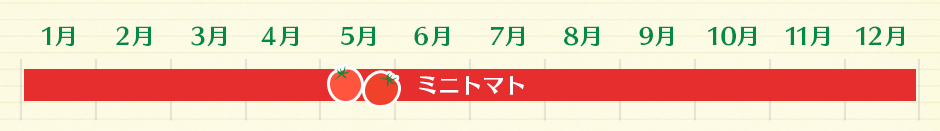 ミニトマト(1~12月)