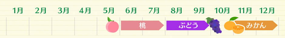 桃(6月~7月) ぶどう(8月~9月) みかん(11月~12月)