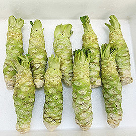 雫石産生わさび 500g