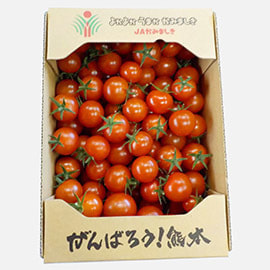 有機ミニトマト TY千果 1kg   有機JAS 