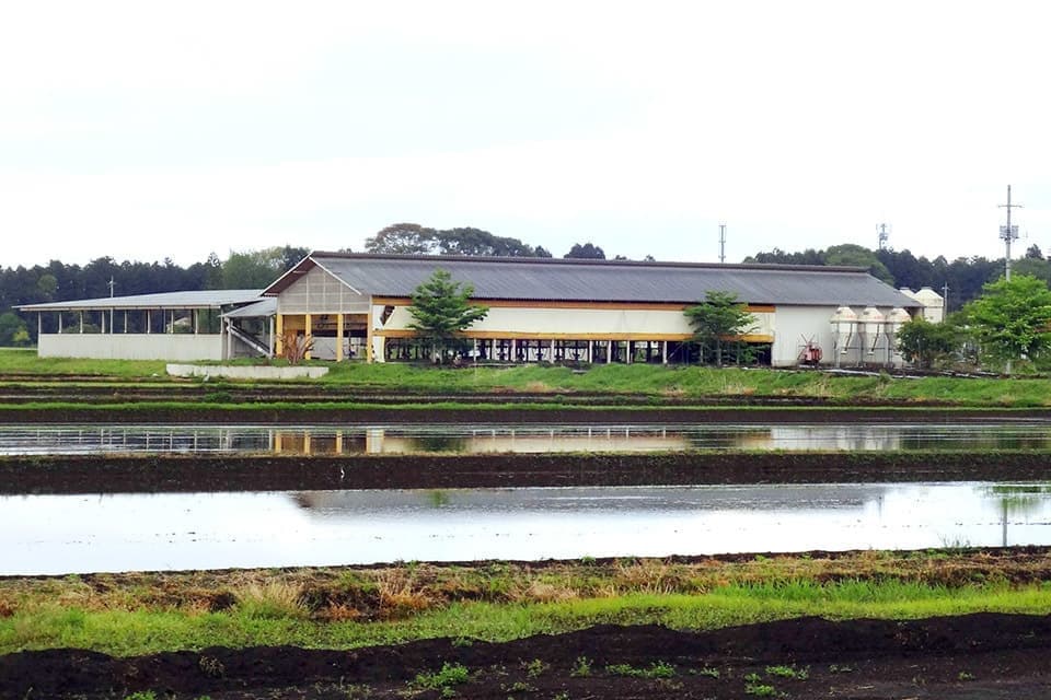 tochigi_cs.jpg
