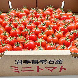 岩手産 有機ミニトマト  キャロルムーン 1kg   有機JAS 