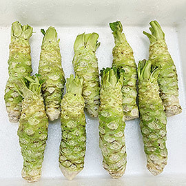 岩手雫石産 生わさび 500g