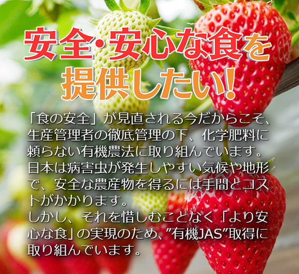 安全・安心な食を提供したい！「食の安全」が見直される今だからこそ、生産管理者の徹底管理の下、化学肥料に頼らない有機農法に取り組んでいます。日本は病害虫が発生しやすい気候や地形で、安全な農産物を得るには手間とコストがかかります。しかし、それを惜しむことなく、「より安心な食」の実現のため、”有機JAS”取得に取り組んでいます。